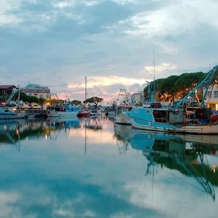 Functional Flat In A In *