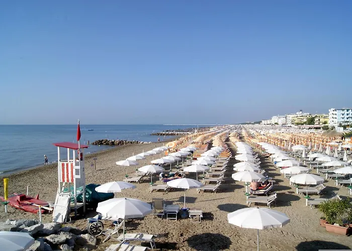 Functional Flat In A In *