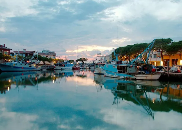 Functional Flat In A In *